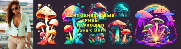 скорость Приозерск