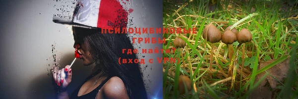 дурь Алексин
