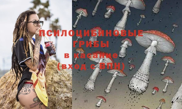 ПСИЛОЦИБИНОВЫЕ ГРИБЫ Алзамай