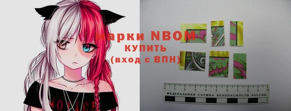 дурь Алексин