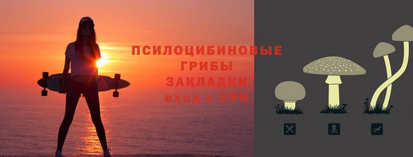spice Алексеевка