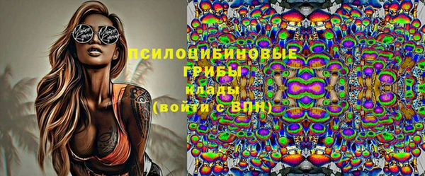 spice Алексеевка