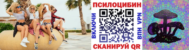 Галлюциногенные грибы Psilocybine cubensis  дарнет шоп  Лахденпохья 